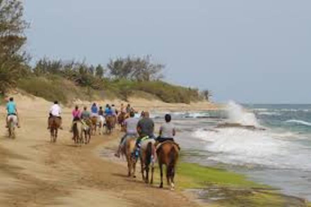 Haudimar Ph Beachfront Apt 4Br/3Bath Isabela Luaran gambar